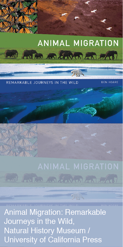 Animal Migration Book Cover