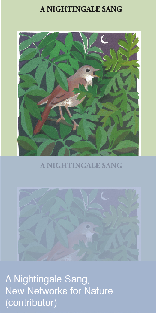 A Nightingale Sang Book Cover